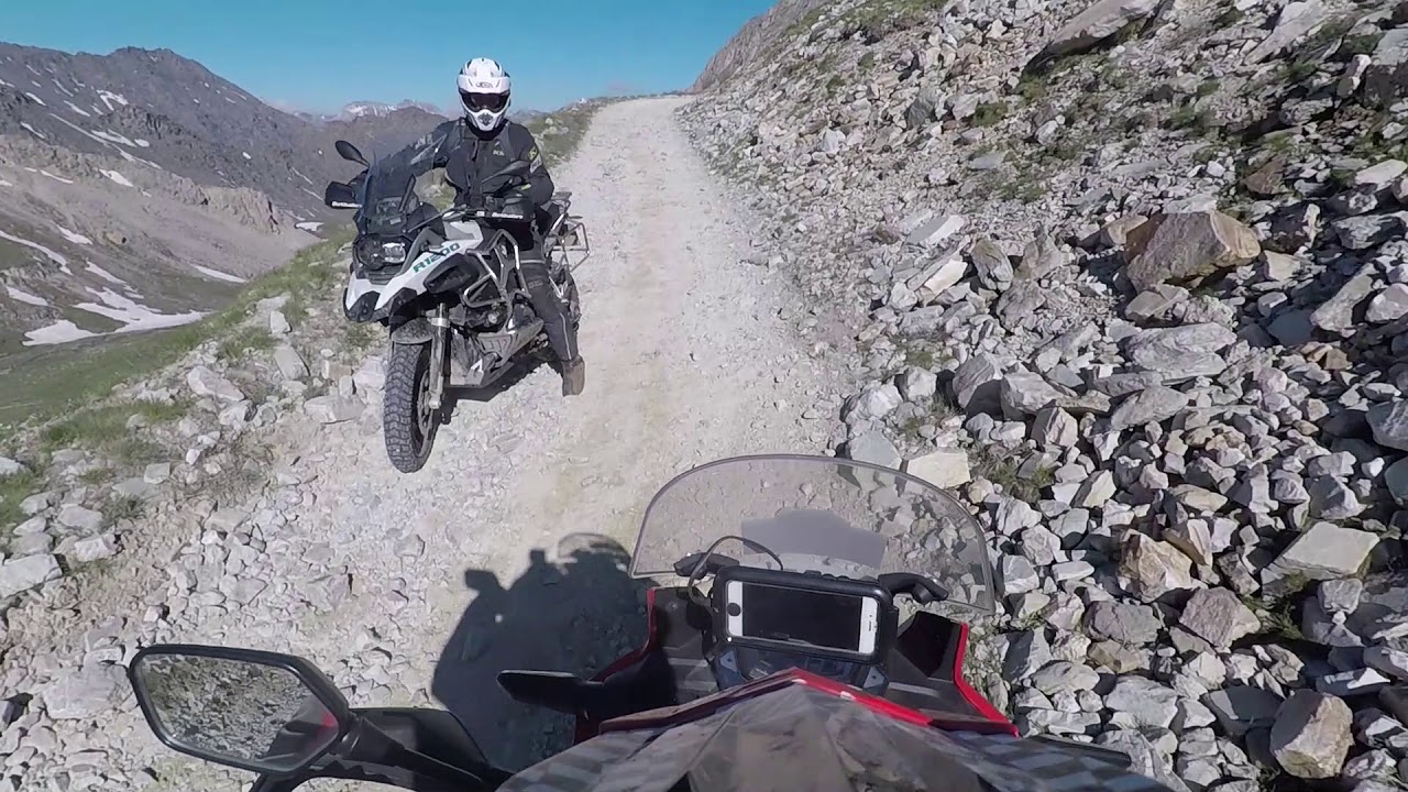 stella alpina 2018