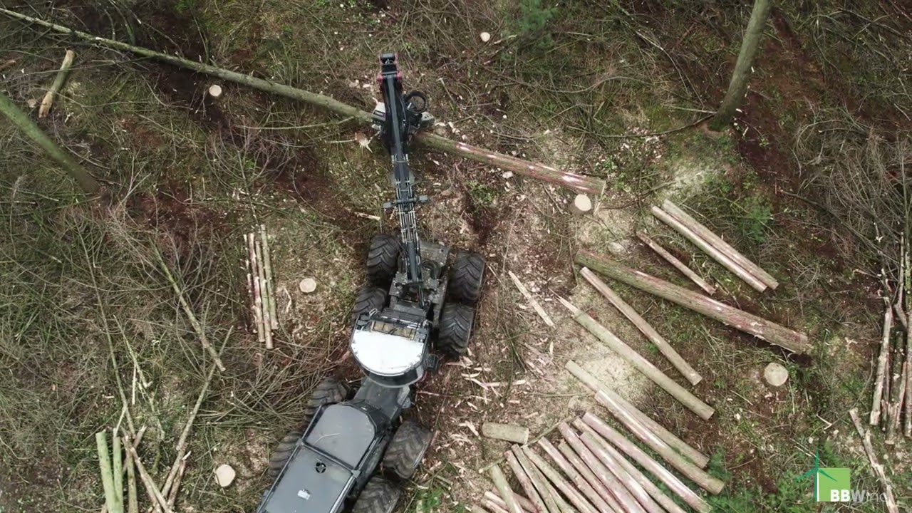 Bürgerwind in Haltern-Bensberg: Rodung von monokulturellem Nadelwald mit dem Harvester