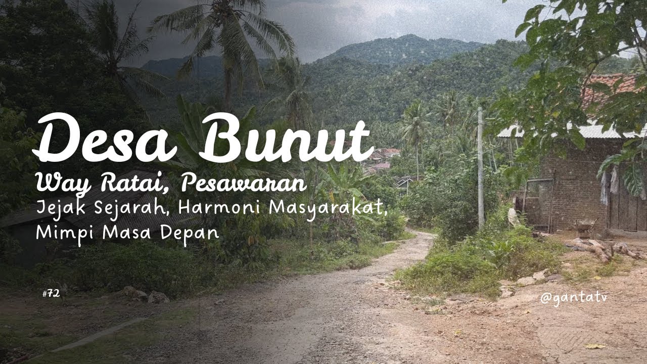 Desa Bunut, Pesawaran: Jejak Sejarah, Harmoni Masyarakat, Mimpi Masa Depan