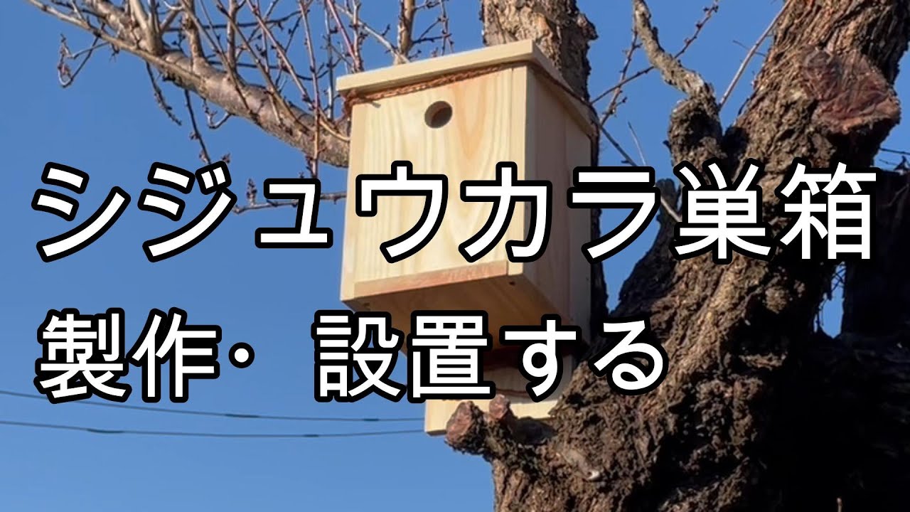 シジュウカラの巣箱を製作・設置する