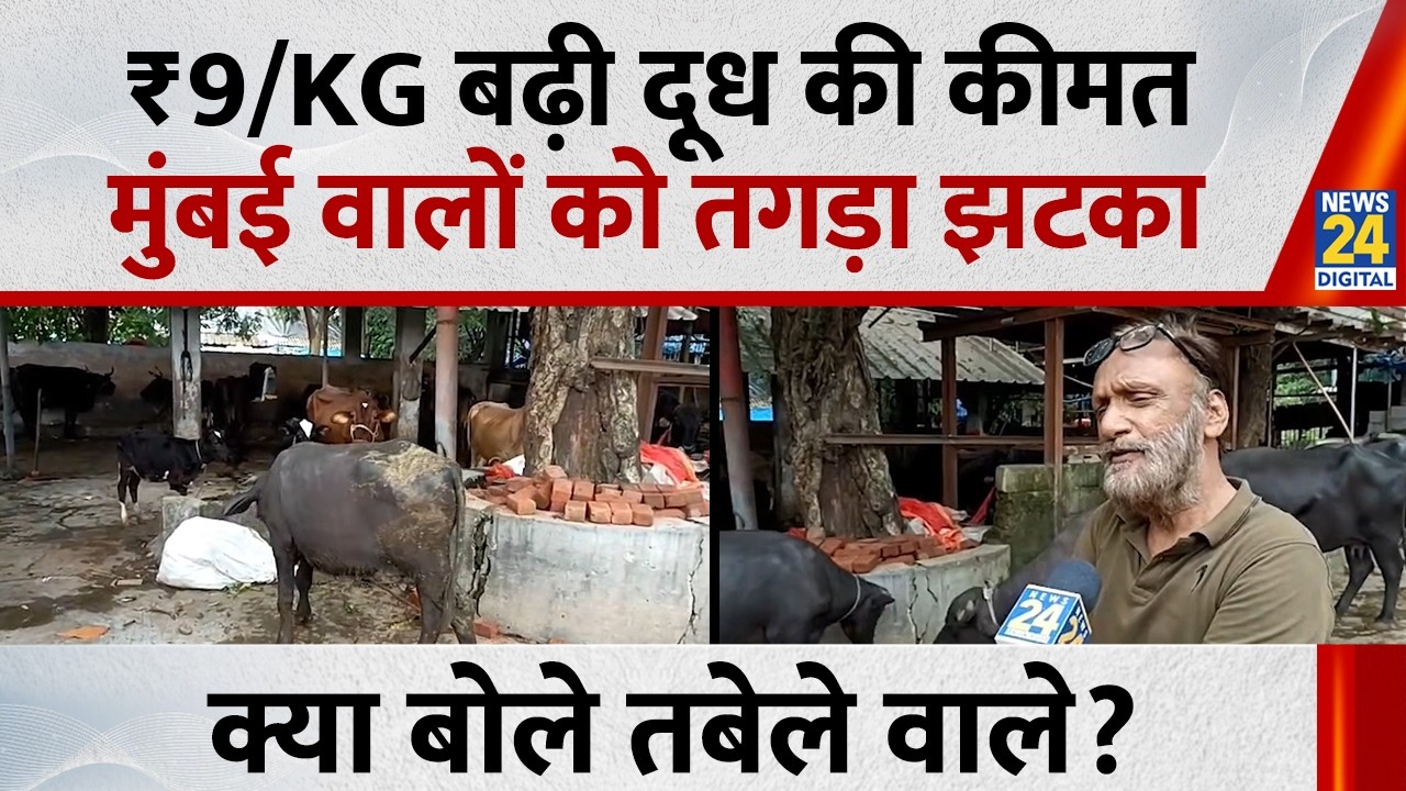 Mumbai Milk Price Hike: ₹9/Kg महंगा हुआ मुंबई में दूध, क्या बोले तबेले वाले?