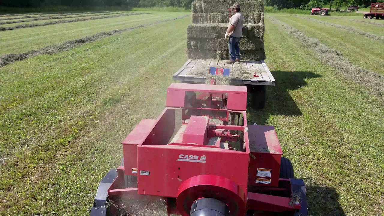 Baling second cutting hay with the oliver 1955 and case 8530 inline square baler.