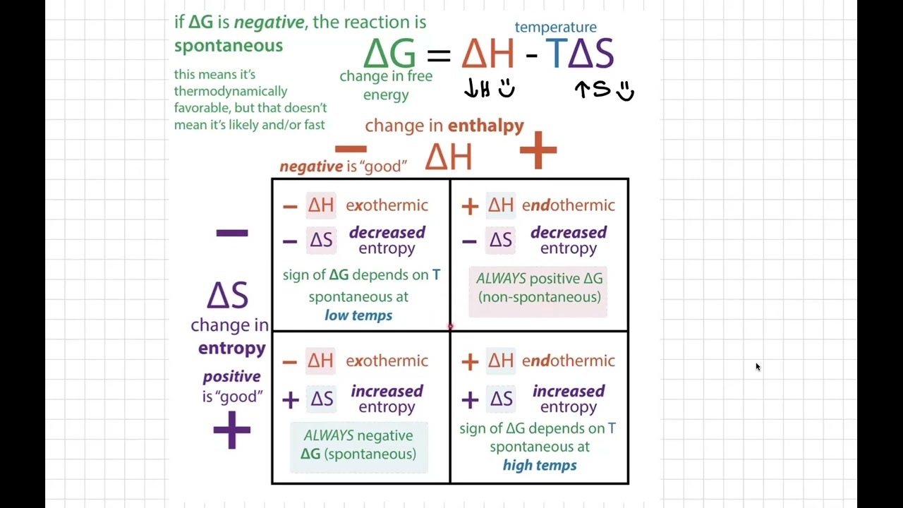 Thermodynamics review for biochemistry