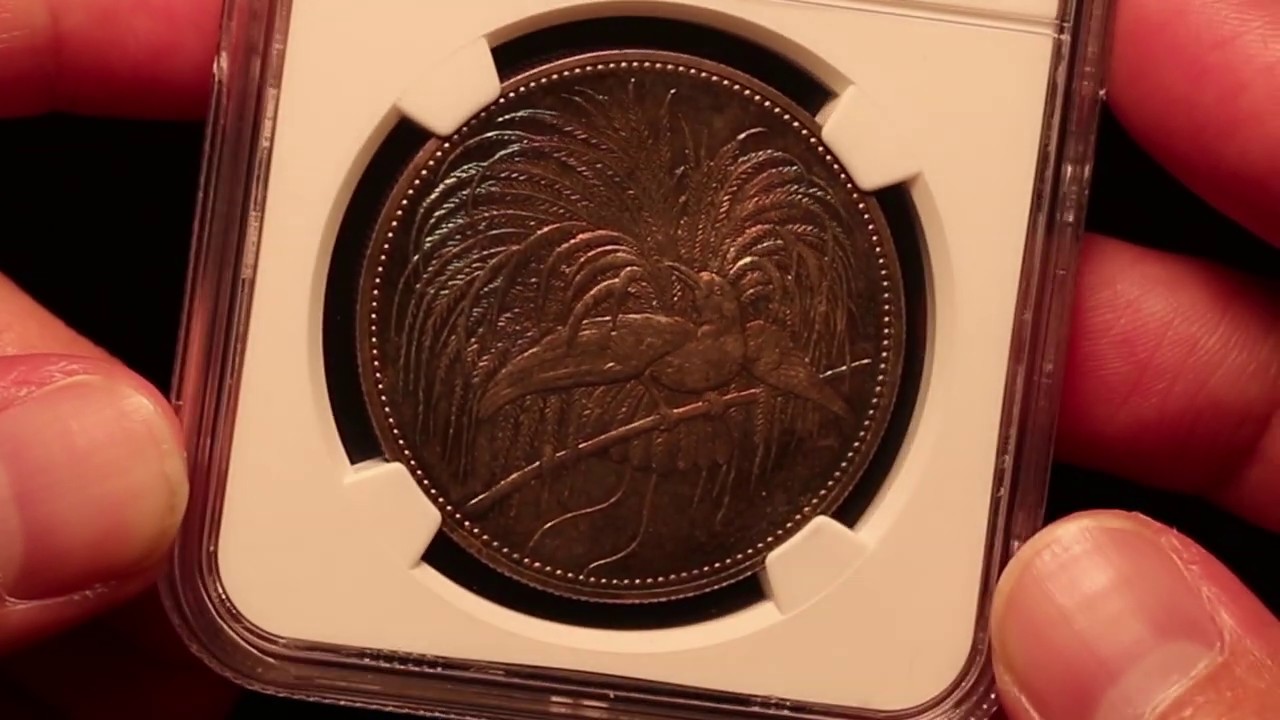 M&uuml;nzen Grading - Deutsch-Neuguinea - 5 Mark Silber 1894 - Paradiesvogel - Mark Salzberg