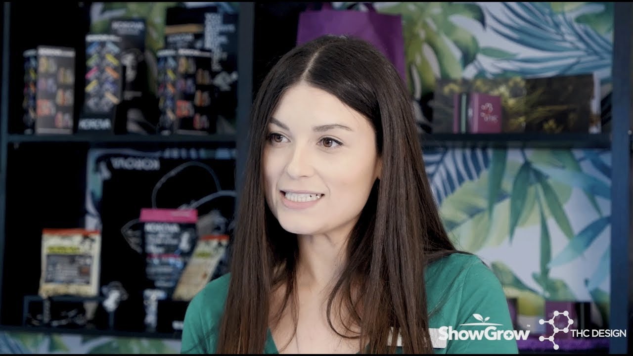 THC Design's Platinum Scout cannabis strain reviewed by Kristina of ShowGrow Long Beach