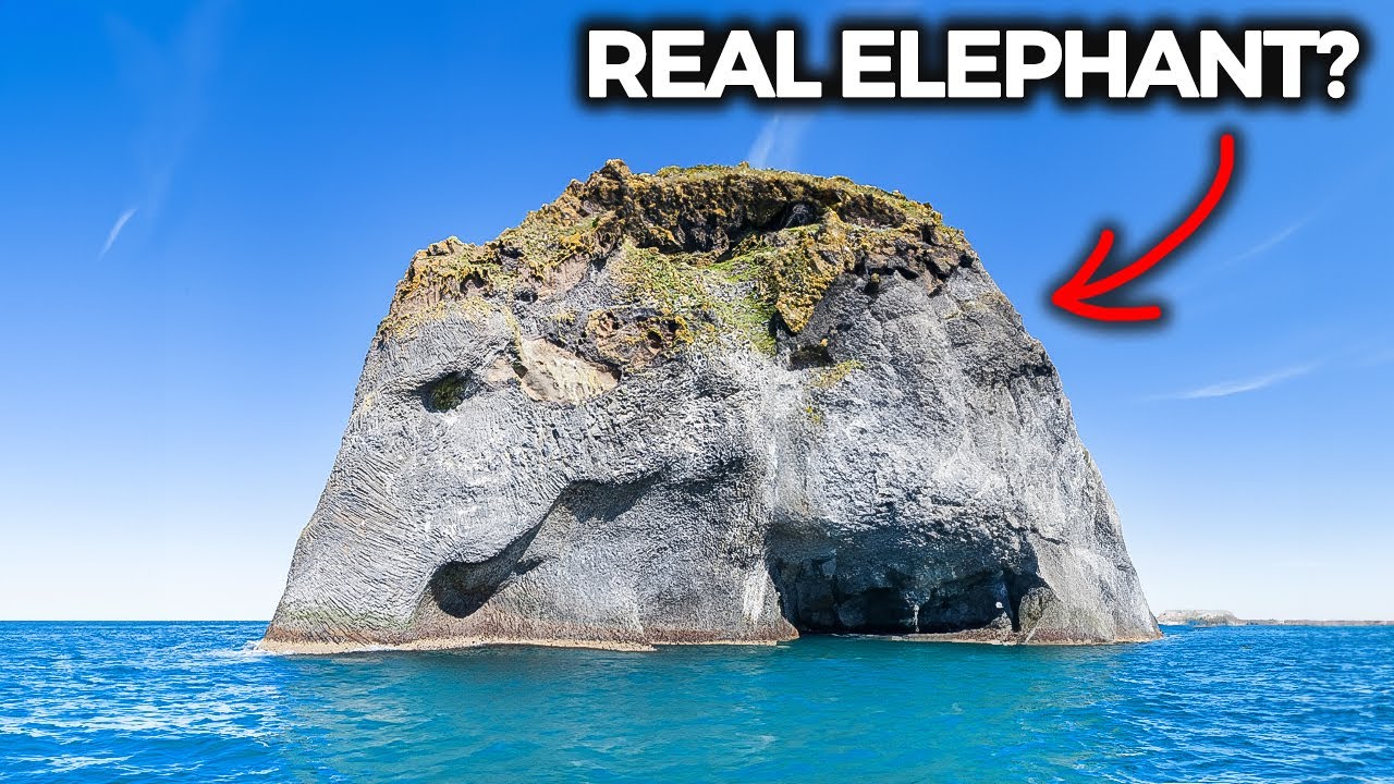 MIND BLOWING Rock Formations That Look Like REAL Creatures