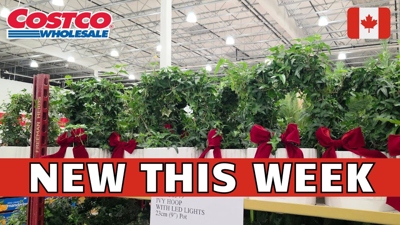 Товары, которые обязательно нужно купить в Costco | Покупки в Costco Canada