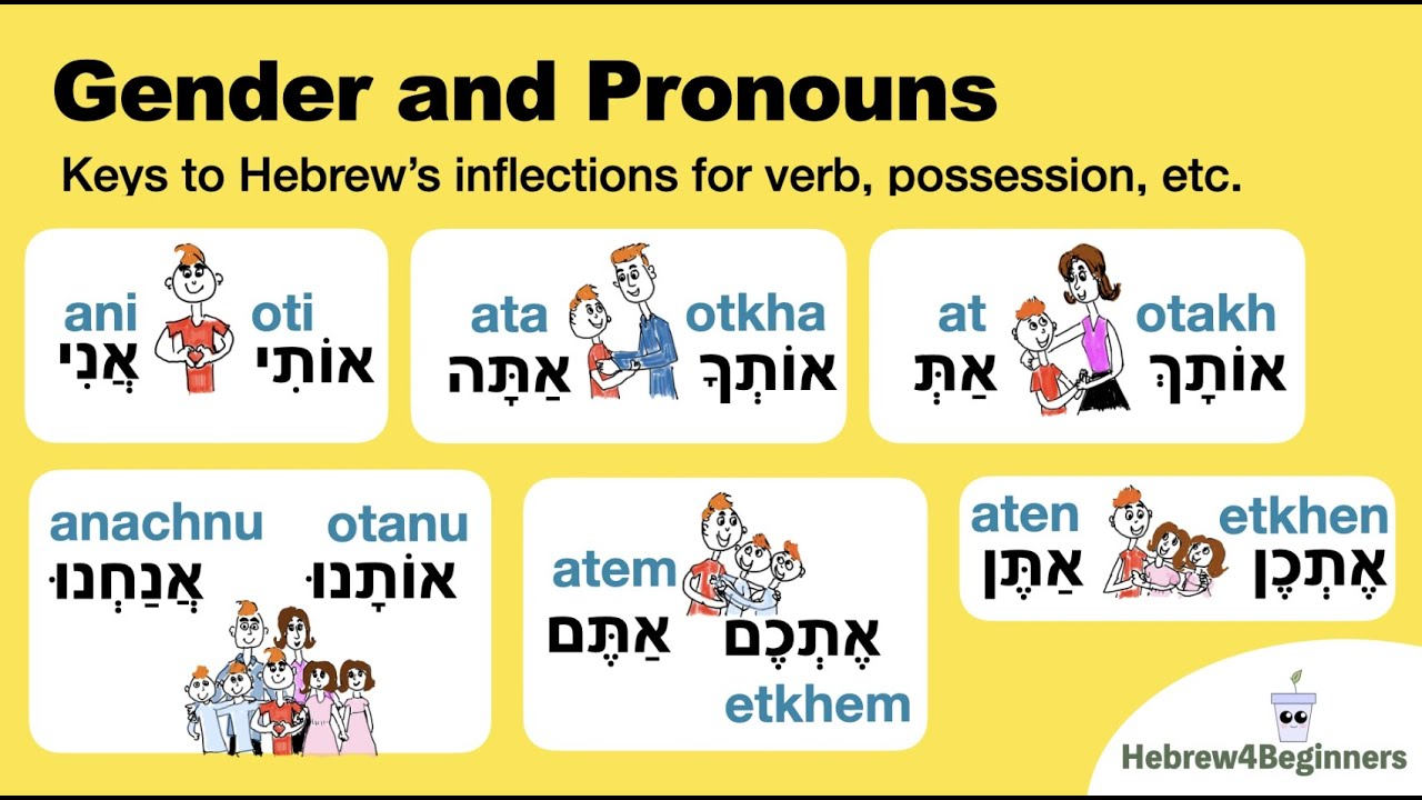 Gender and Pronouns as Keys to Hebrew Verb Conjugations and Possessive Forms