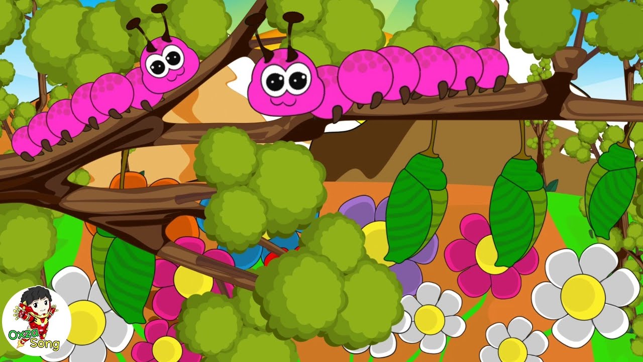 เพลง หนอนผีเสื้อ ต้วมๆ เตี้ยมๆ ออกมาจากไข่ |เพลงสำหรับเด็ก | เวอร์ชั่น1 |   Song worm | Oxza Song