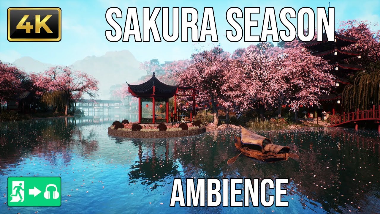 10 Hours of Japanese Sakura Season Ambience | Nature & Relaxing Instrumentals | 4K