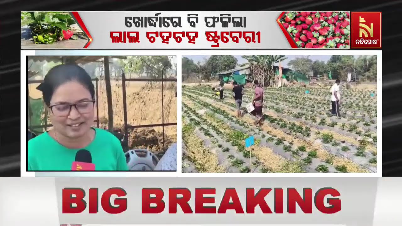 🔴 Live | SPECIAL REPORT | | NANDIGHOSHA TV