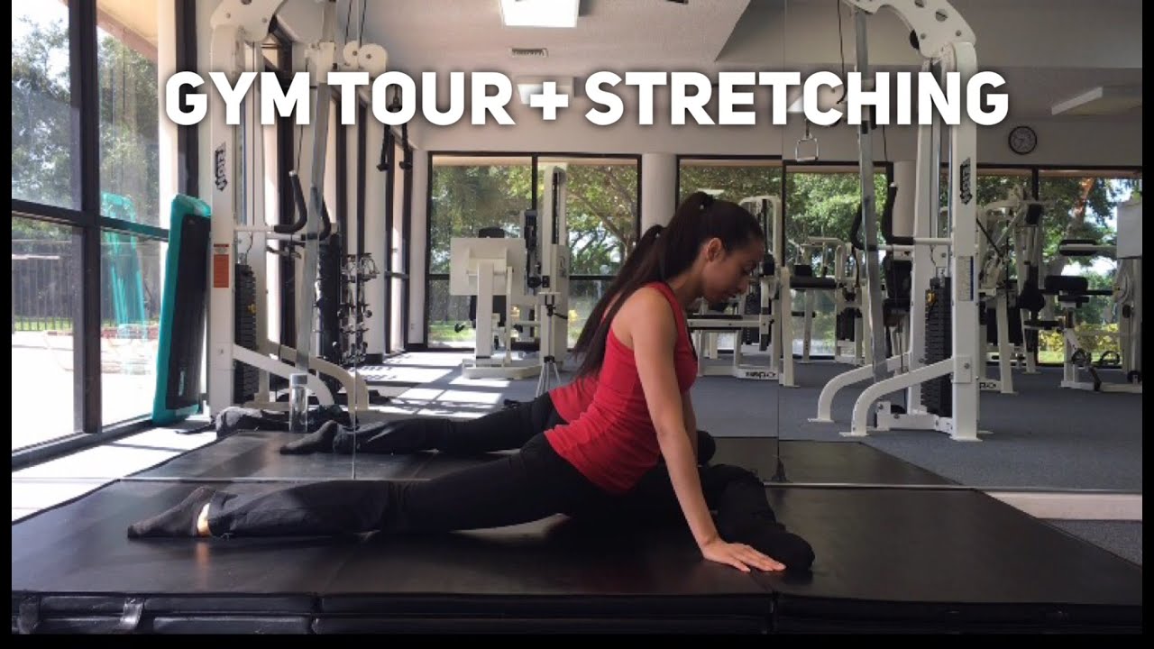Gym Tour | Stretching Exercises | Stretch Routine For Beginners | Stretches For Flexibility