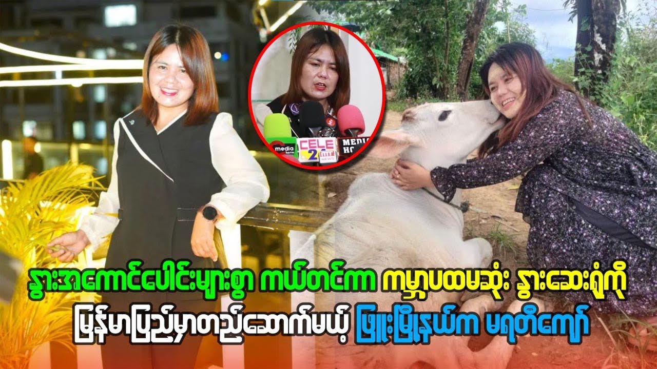 နွားအကောင်ပေါင်းများစွာကယ်တင် ကာ ကမ္ဘာ့ ပထမဆုံး နွား ဆေးရုံ ကို မြန်မာတည်ဆောက် ဖြူးမြို့နယ် ကမ
