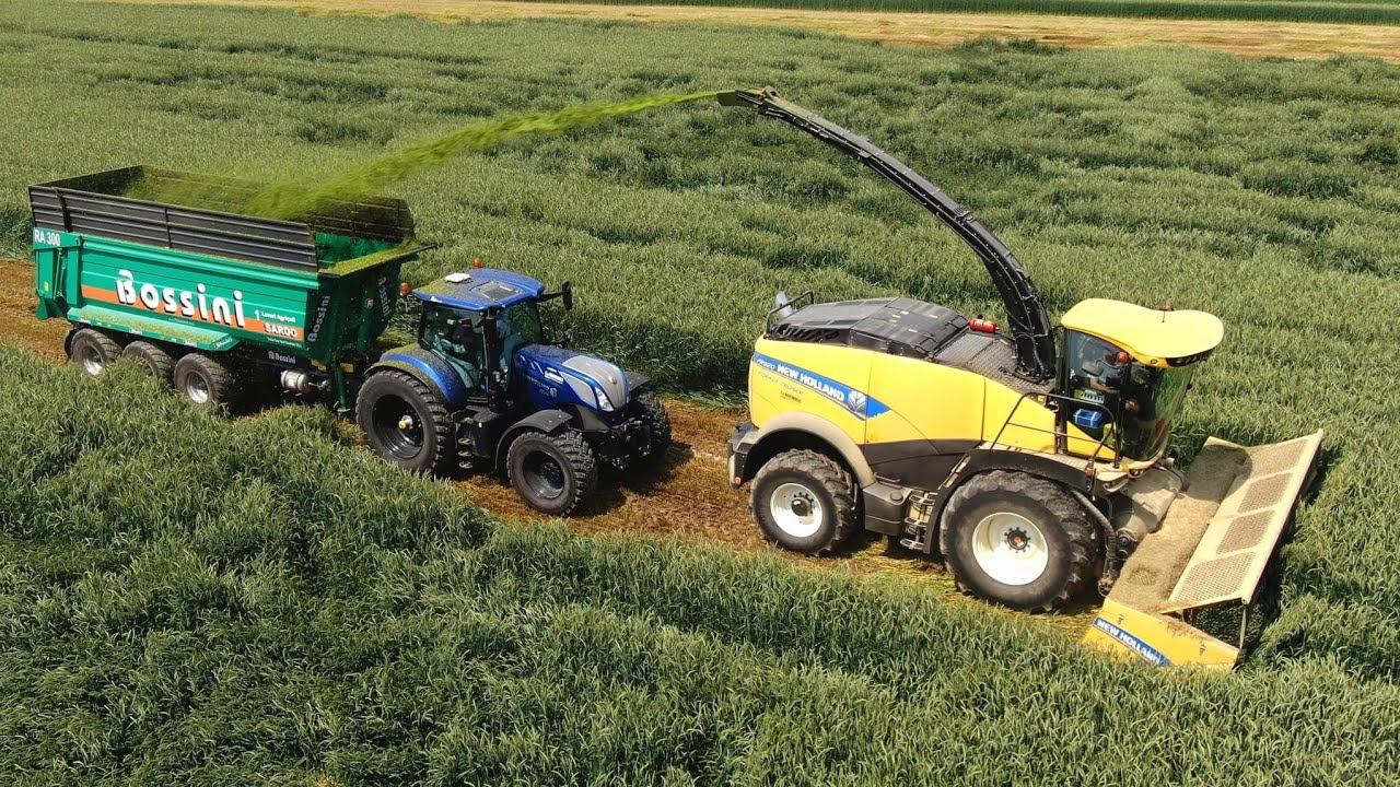 New Holland FR 920 | 3X T7.270 | Bossini | SARDO