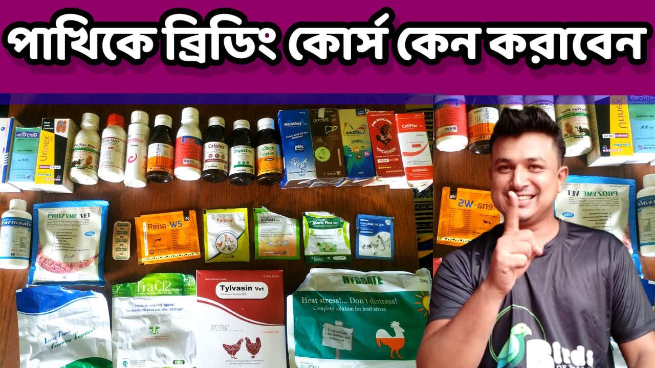পাখির ব্রিডিং কোর্স || কেন করাবেন জেনে নিন || bird breeding course || Birds of village