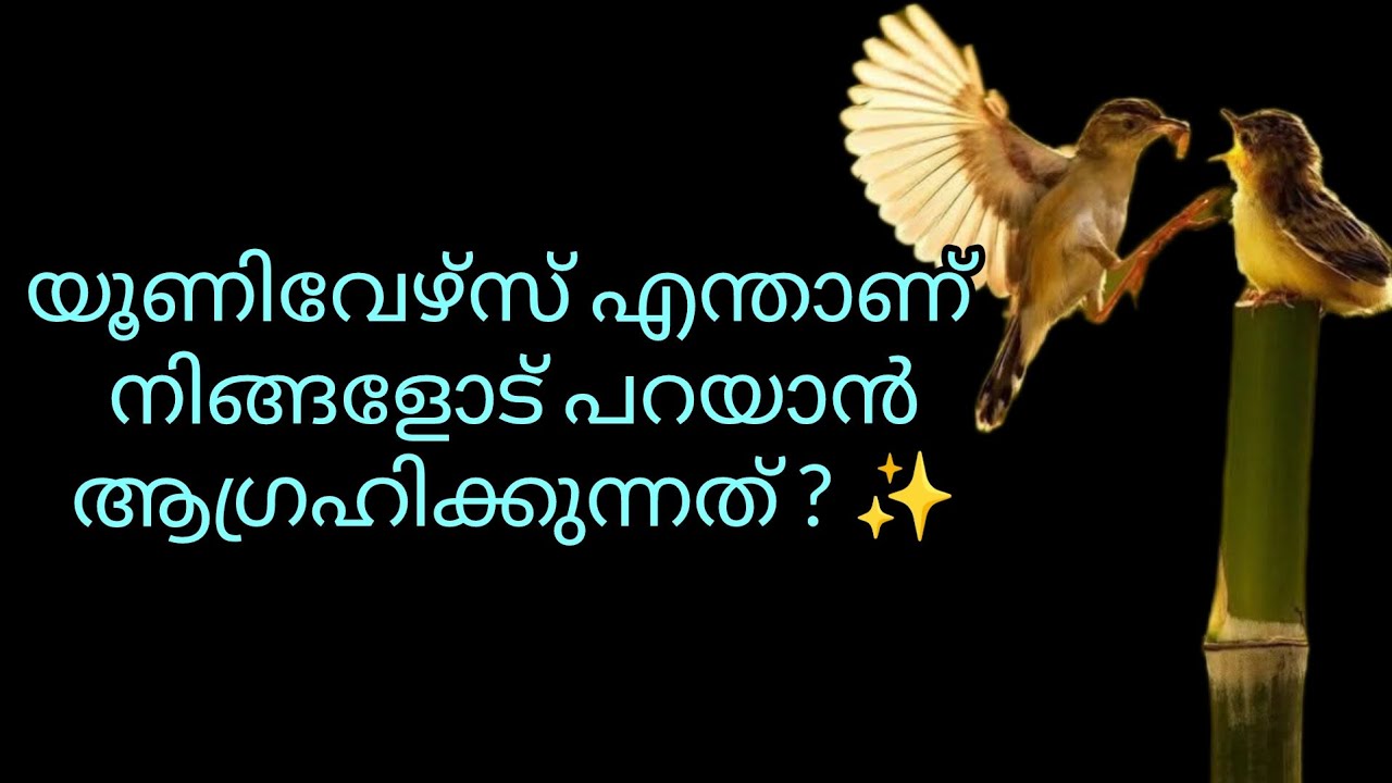 നിങ്ങളിൽ ചിലർക്കുള്ള യൂണിവേഴ്സിന്റെ സന്ദേശം #tarot