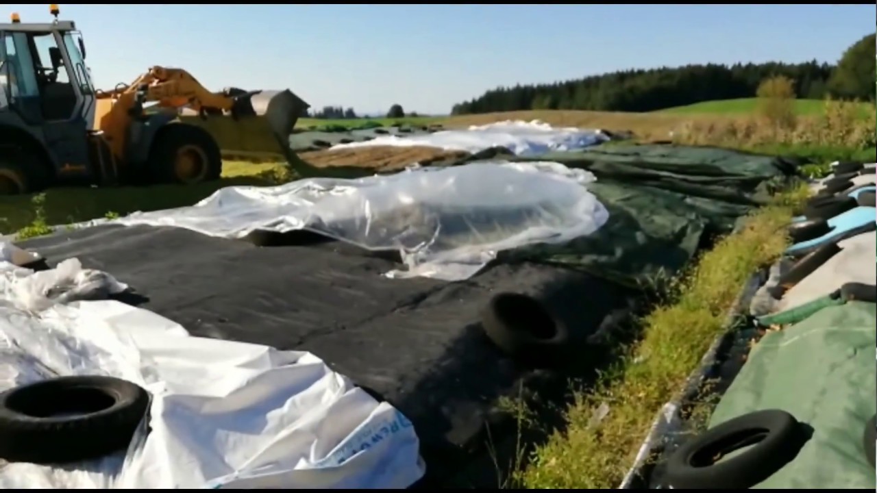 Maish&auml;ckseln 2018 Oberbayern