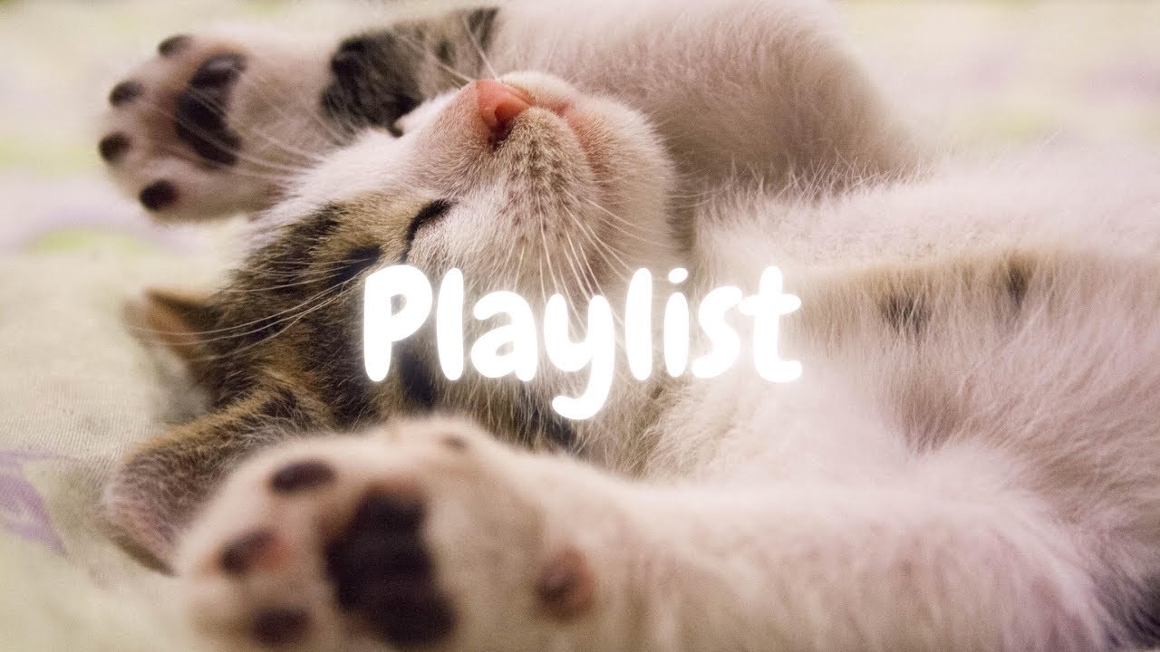 𝐏𝐥𝐚𝐲𝐥𝐢𝐬𝐭 아마... 업무에 도움 안 될 가능성이 큰 플리  |  Pop • R&B
