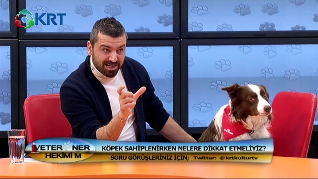 Veteriner Hekimi'm / G&ouml;zde &Ccedil;etin Kasap / Ali Yeşilırmak & Max / 24.01.2018