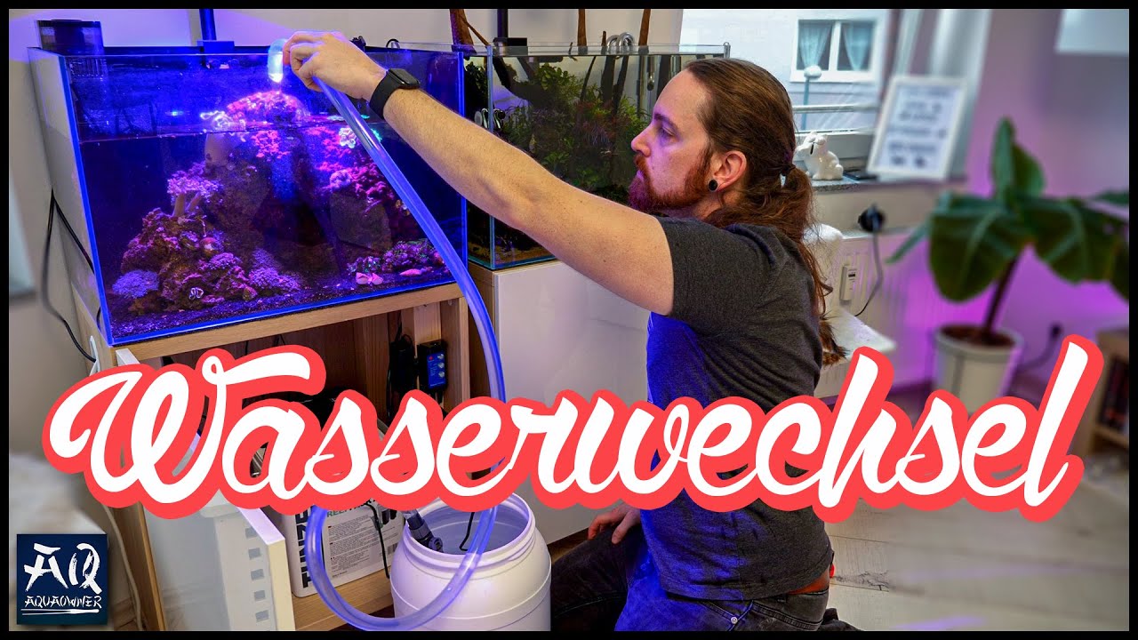 Wasserwechsel im Meerwasser Aquarium | AquaOwner