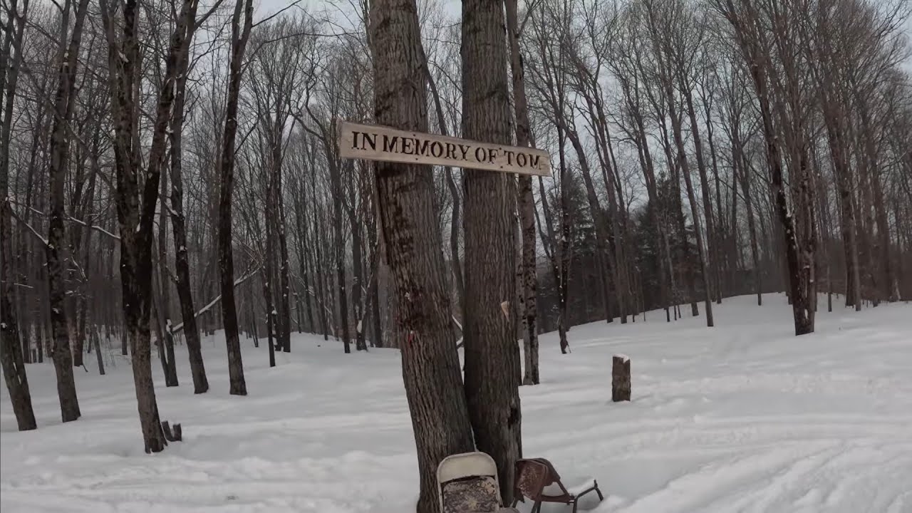 riding trails to the pit - Cold Brook, NY #polaris#snowmobile #polarissnowmobile #snow #snowmachine