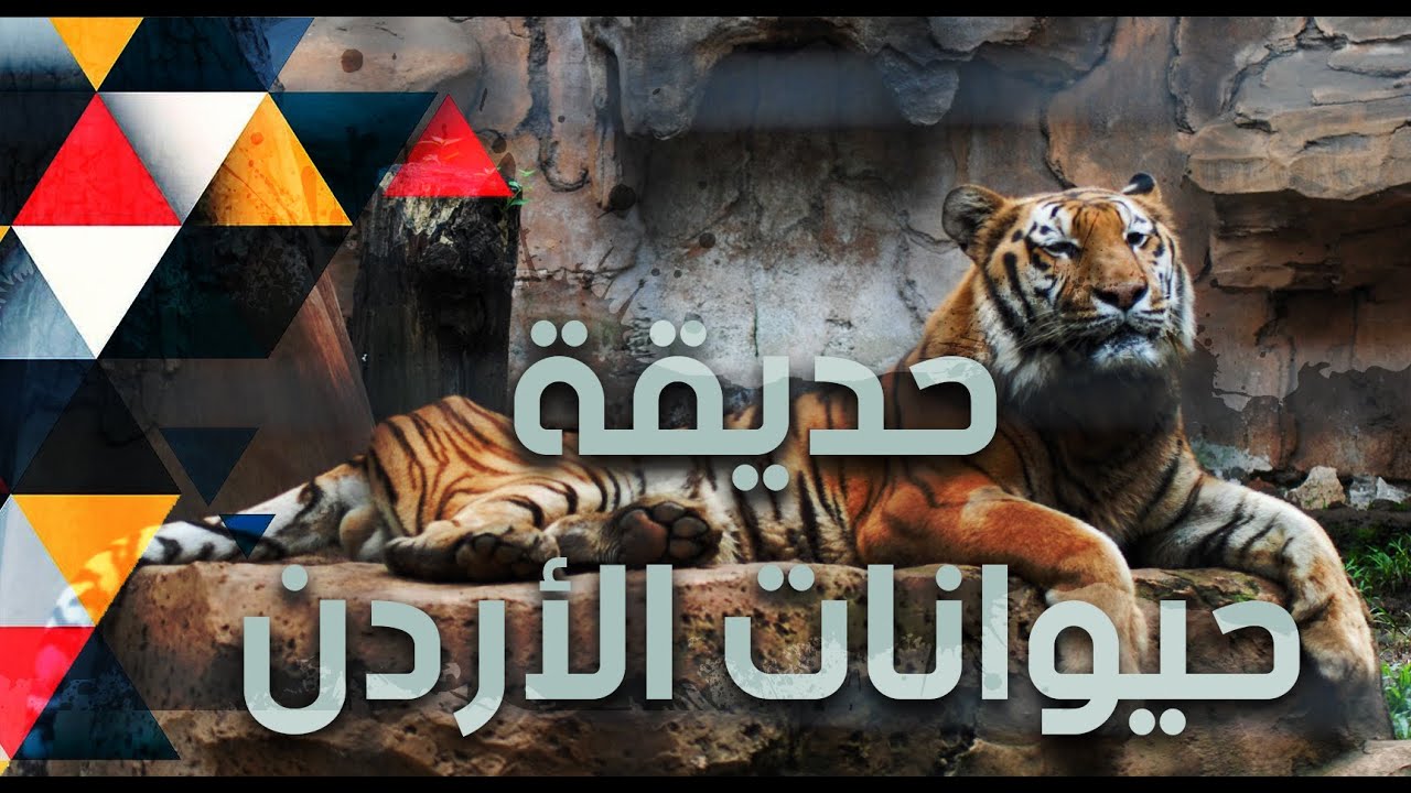 حديقة حيوانات الأردن في اليادوده ... عامر النمورة