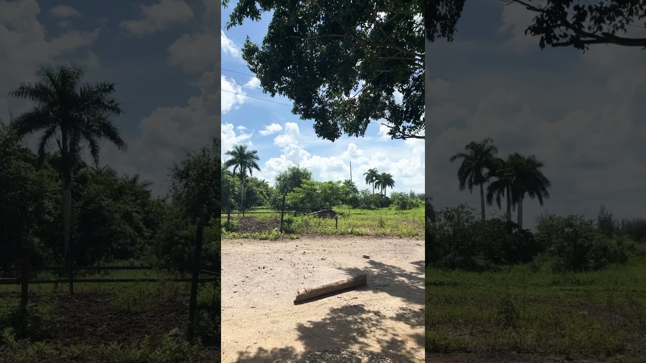 El campo en Cuba☝️