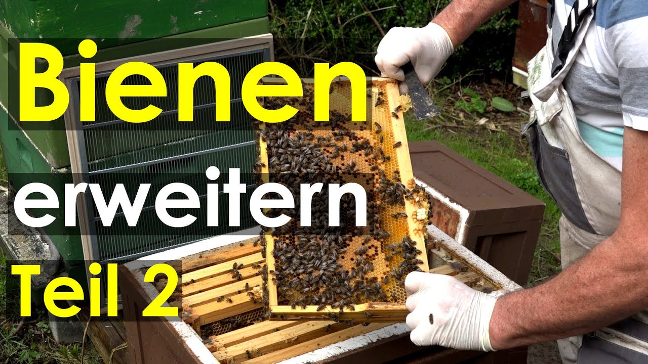 Bienen-Arbeit: Erweitern aber wie? Hier die Combi-Beute Langstroth