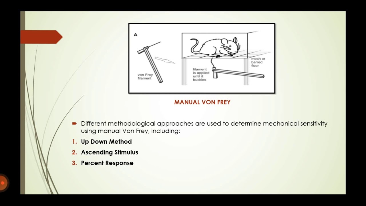 EP-1770030 Anti Inflammatory Von Frey Method. 612 lab
