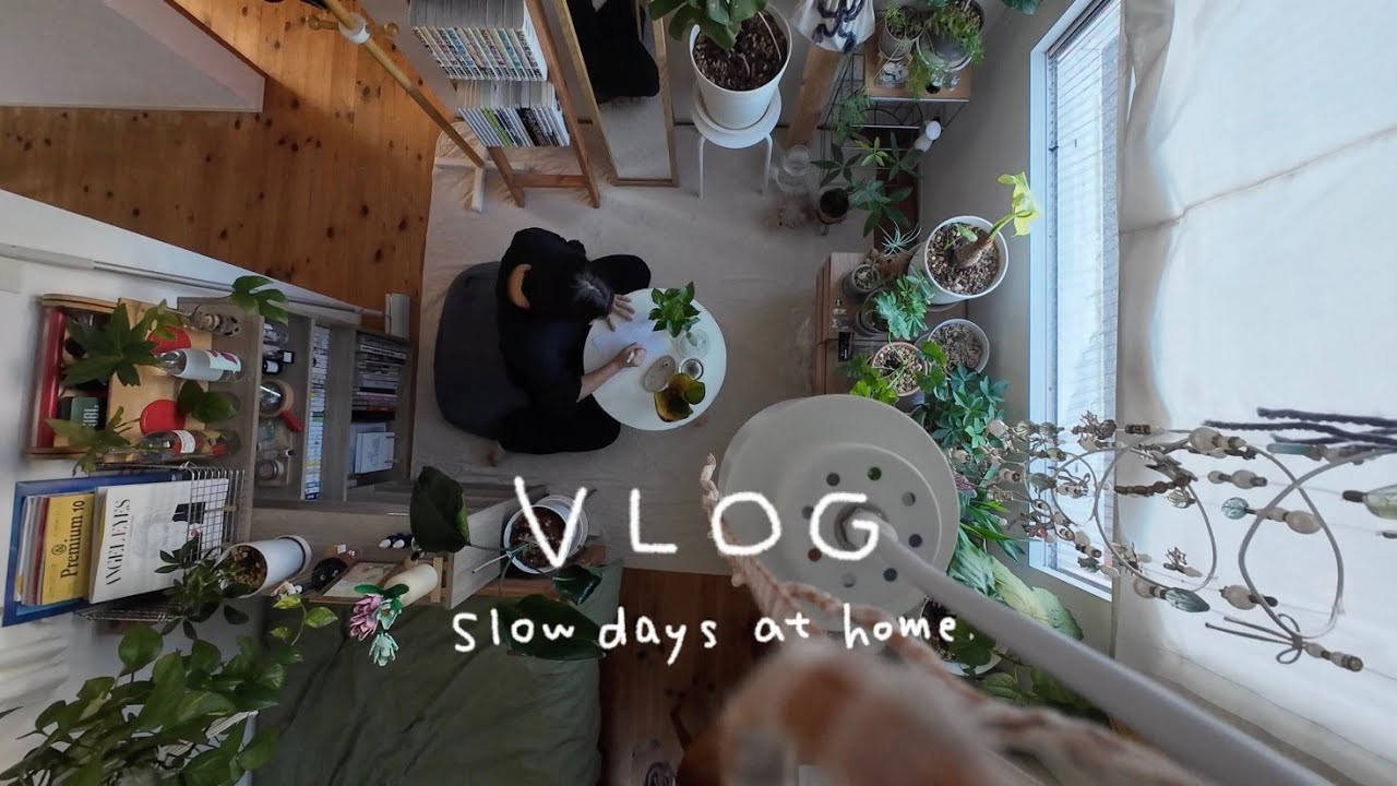 VLOG：早朝に目覚めて、おいしいご飯が沁みた日