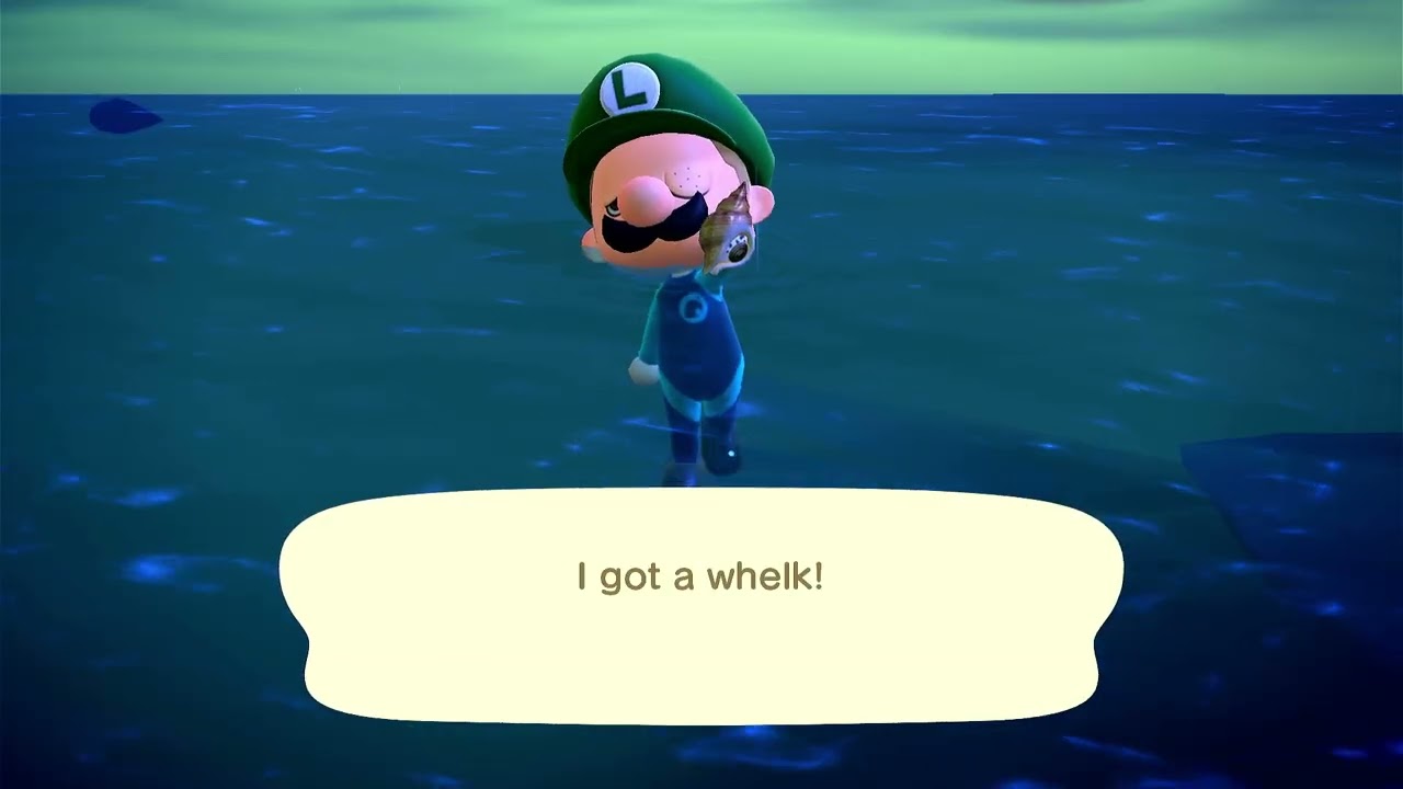 Catch a Chambered Nautilus | Animal Crossing: New Horizons NS