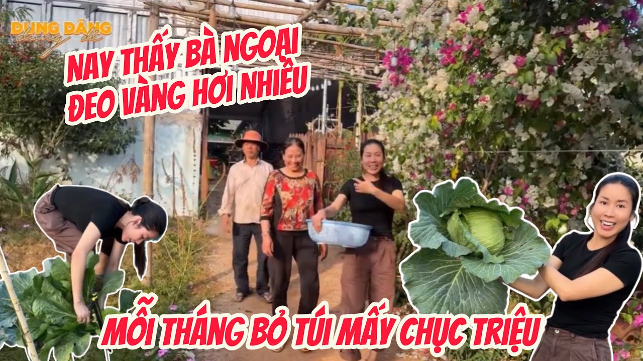 Khu vườn tuyệt đẹp của ông bà Ngoại tại Dak Nông, bà Ngoại sắp thành đại gia rồi