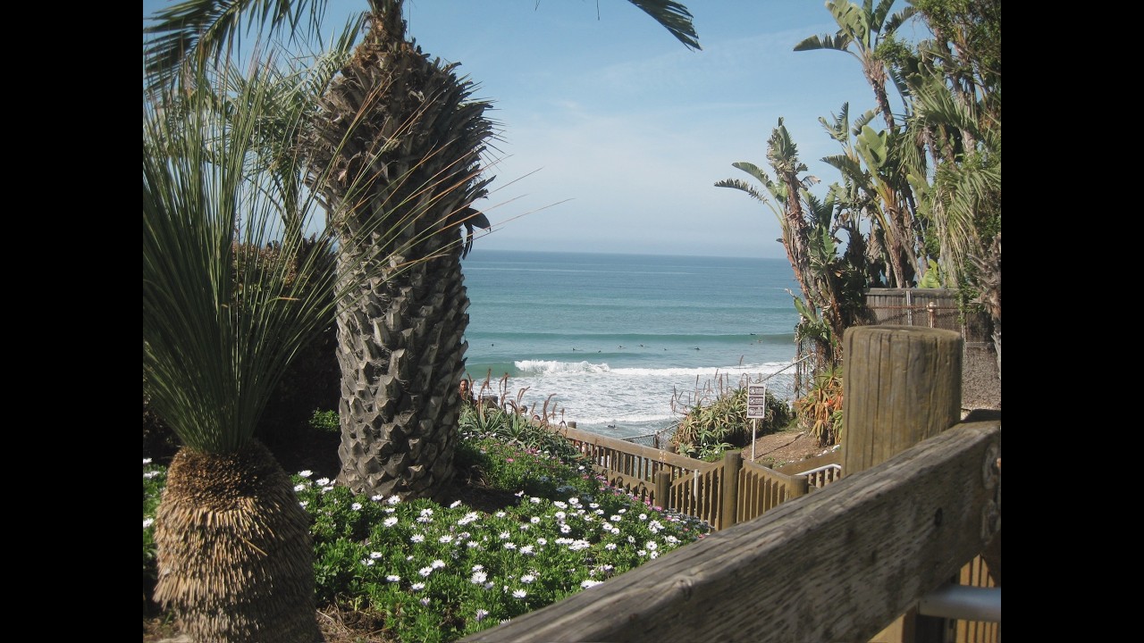 San Diego Trip!