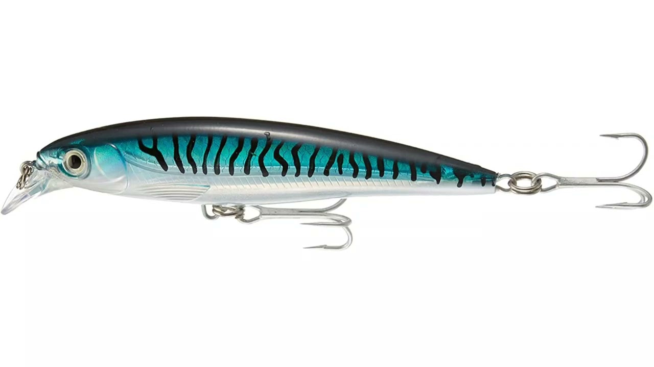 Rapala X-Rap Saltwater Fishing Lure