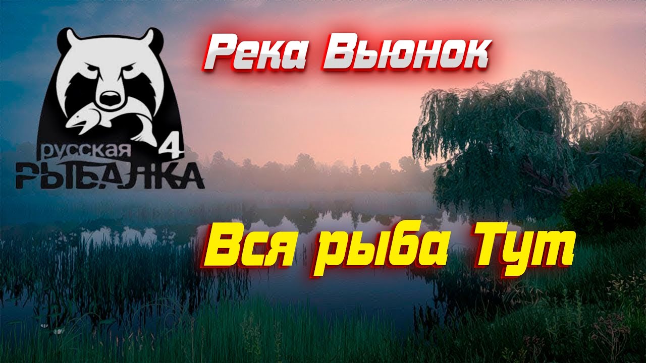 РР4 #4 Река Вьюнок. Универсальная точка для Заказов в кафе!!!
