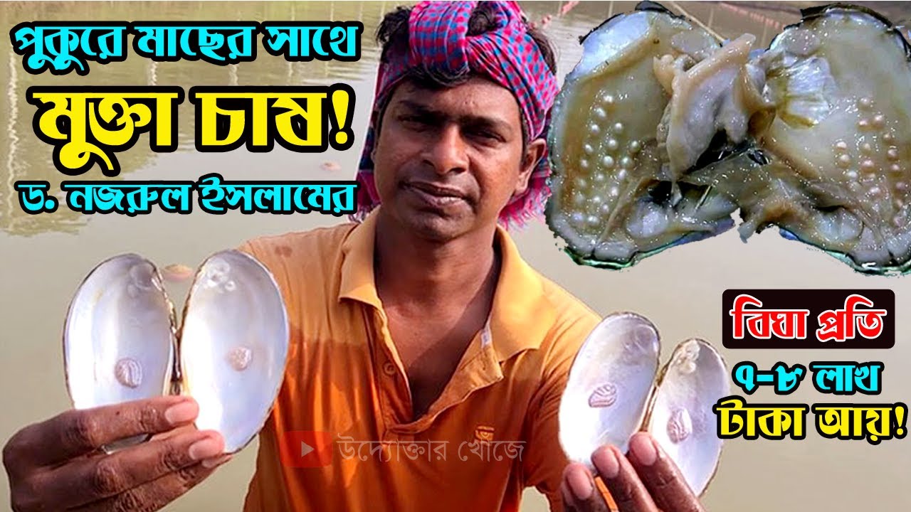 পুকুরে মুক্তা চাষ পদ্ধতি (Pearl Farming) | বিনামুল্যে মুক্তা চাষ প্রশিক্ষণ  | উদ্যোক্তার খোঁজে