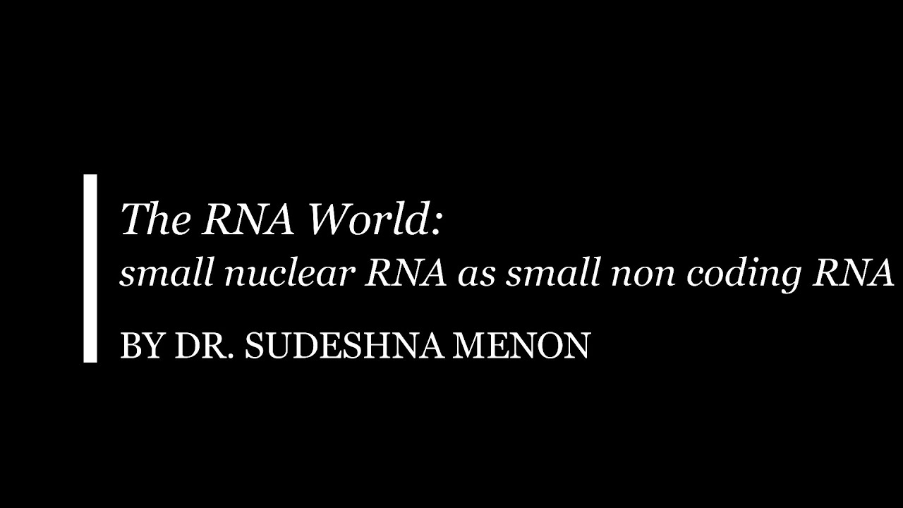 The RNA World   small nuclear RNA as sncRNA