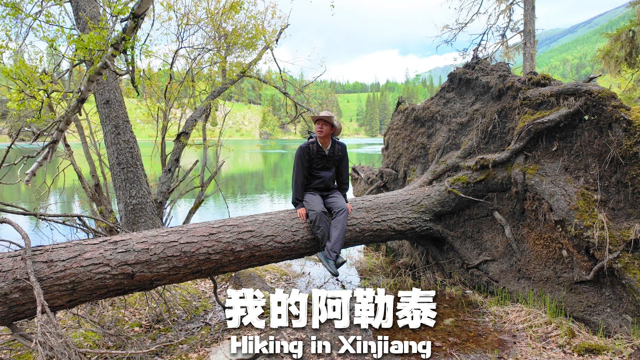 喀納斯河徒步旅遊，發現中國最美湖光山色，蒙古族牧民的生活方式太嚮往了！🇨🇳Hike Along the Most Beautiful River in China丨Xinjiang Travel 4K