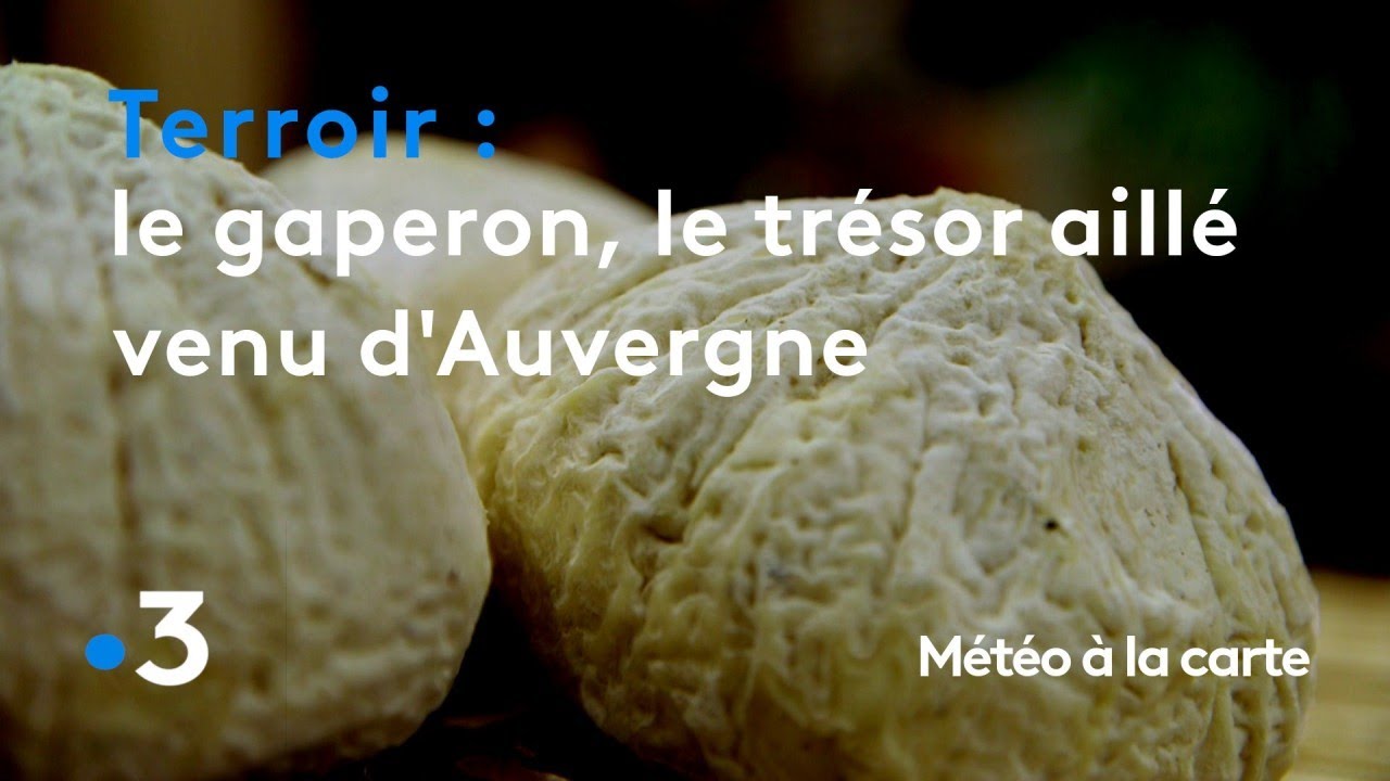 Le gaperon, le délicieux trésor aillé venu d'Auvergne  - Météo à la carte