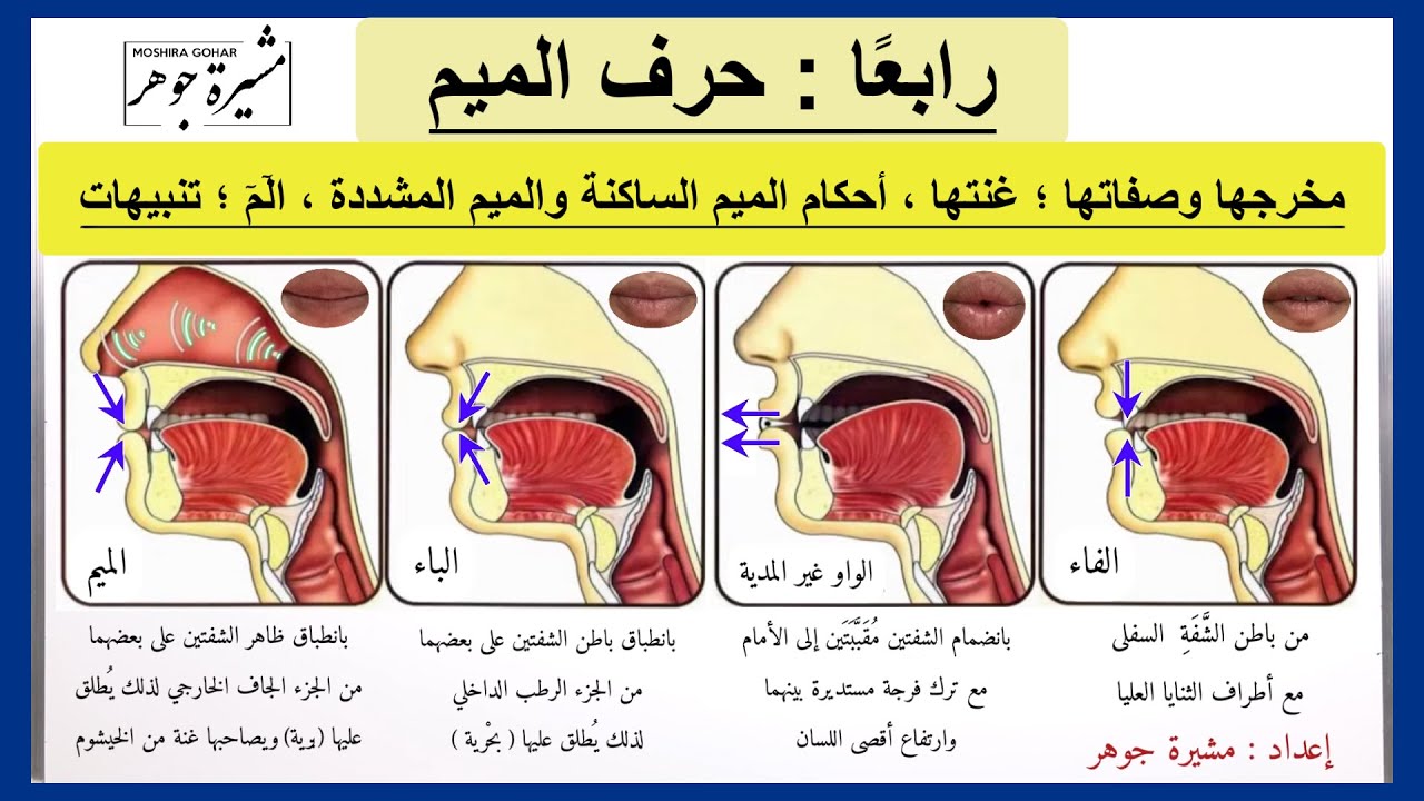 📣(٤٧) حرف الميم ؛ مخرجها وصفاتها ؛ غنتها وأحكام الميم الساكنة وكيف تقرأ في الحروف المقطعة