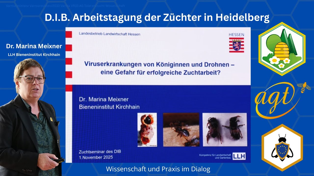 Fr. Dr. Meixner, Viruserkrankungen bei Königinnen und Drohnen #Varroaresistenz2033 #varroaresistenz 