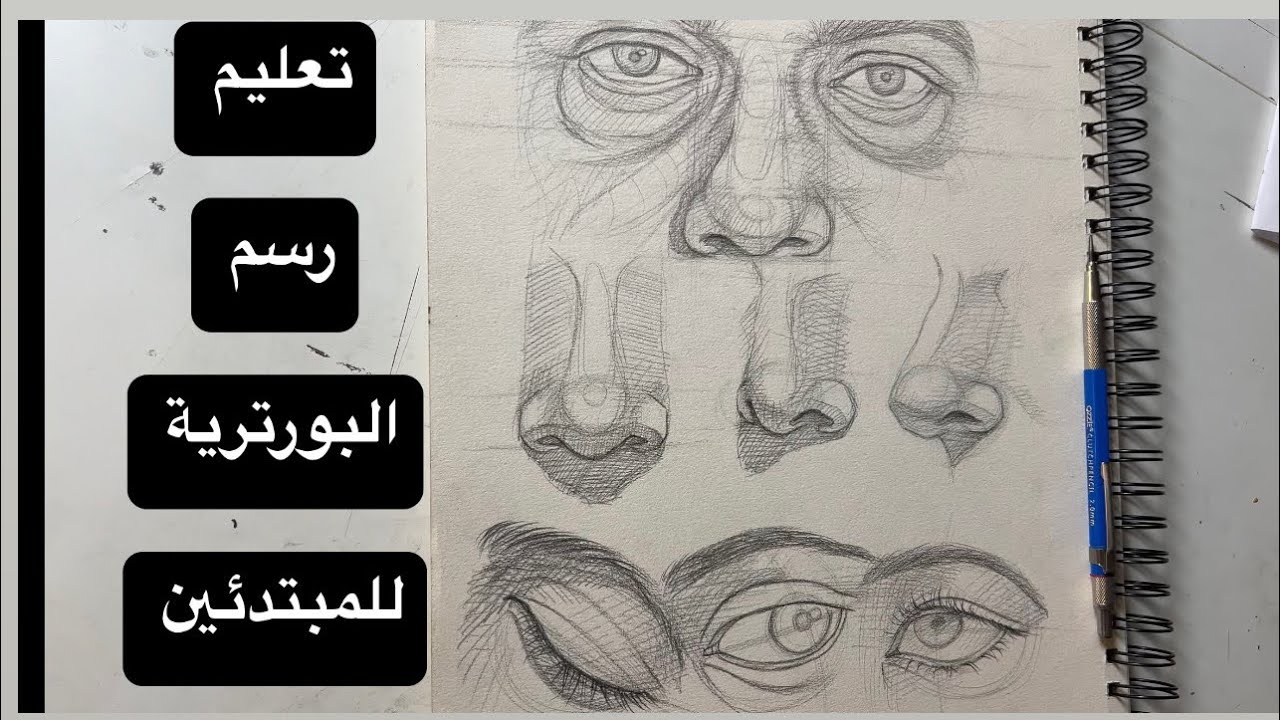 كيفية رسم العيون بزوايا مختلفة - تعليم الرسم للمبتدئين