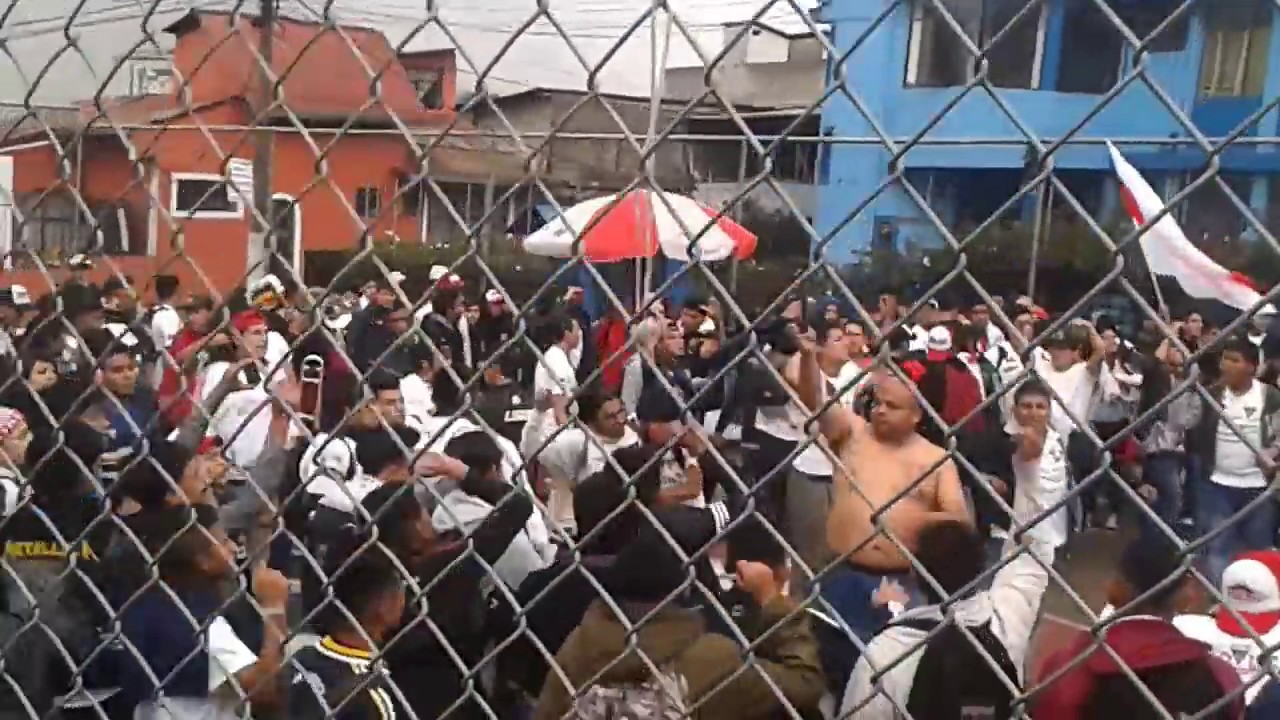 Muerte Blanca [LDU] Cánticos • Soy de Liga desde que nací...💀