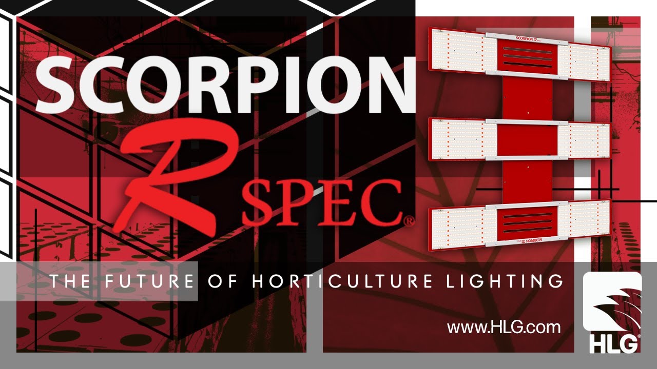 Scorpion R Spec&reg;