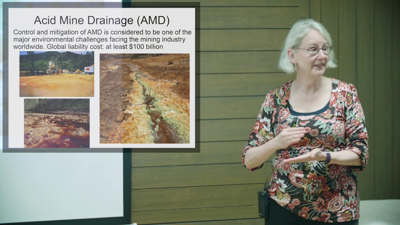 Lecture: The Global Biogeochemical and Health Impacts of Mining