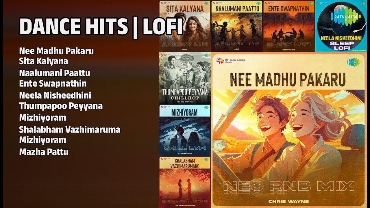 ഡാൻസ് ഹിറ്റ്സ് 2023 | Lofi | AJX Songs | Nee Madhu Pakaru | Sita Kalyana | Naalumani Paattu