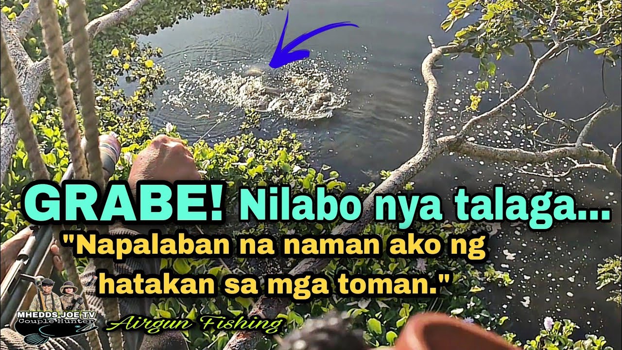GRABE NAPALABAN NA NAMAN TAYO NG HATAKAN SA MGA TOMAN AT DALAG/AIRGUN FISHING/MHEDDS JOE TV/VLOG#370