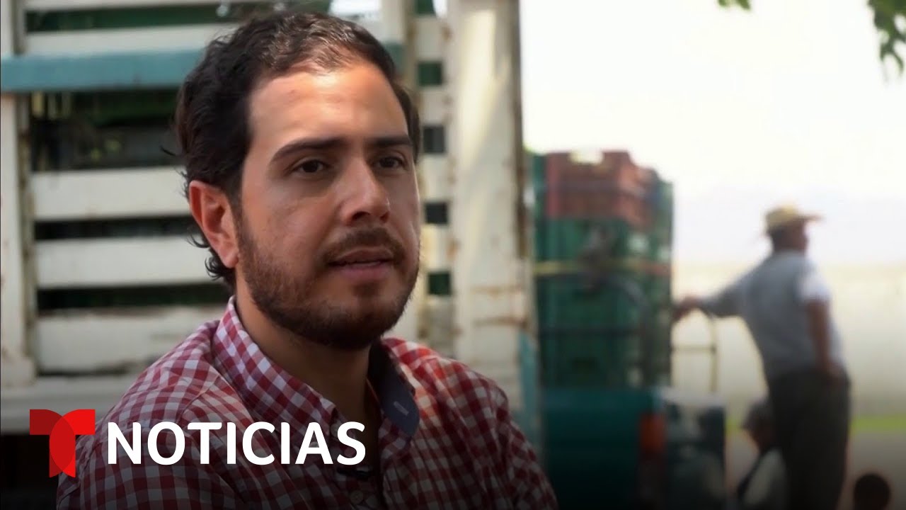 Asesinan a un l&iacute;der de sector limonero mexicano que denunci&oacute; extorsiones | Noticias Telemundo