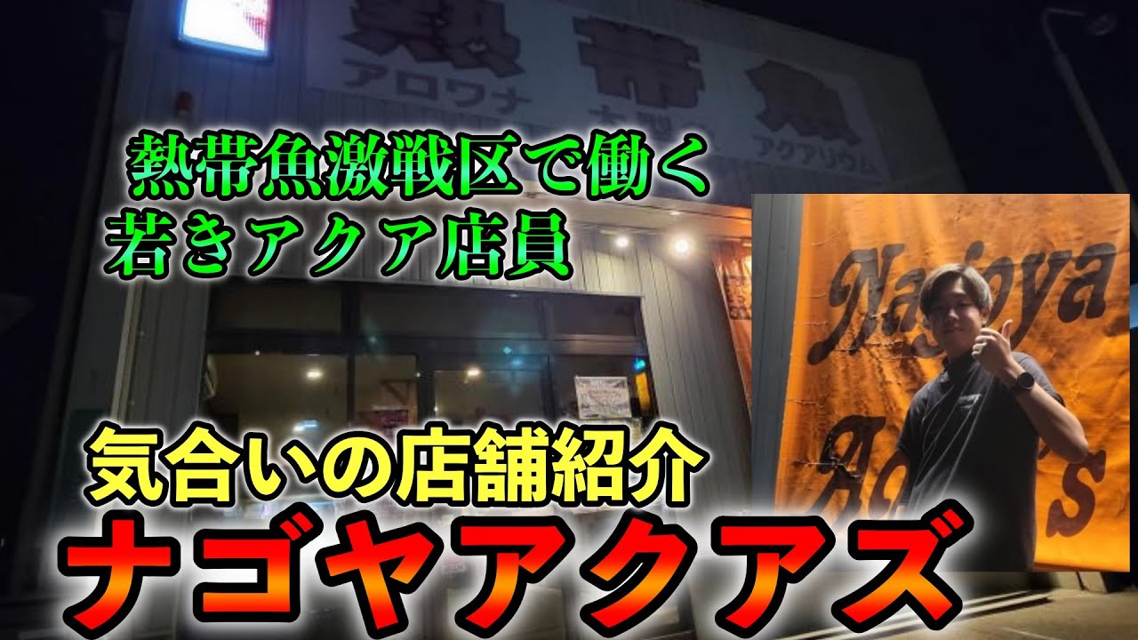 アクア業界激戦区愛知県で働く若きショップ店員　ニシケンさん『ナゴヤアクアズ』