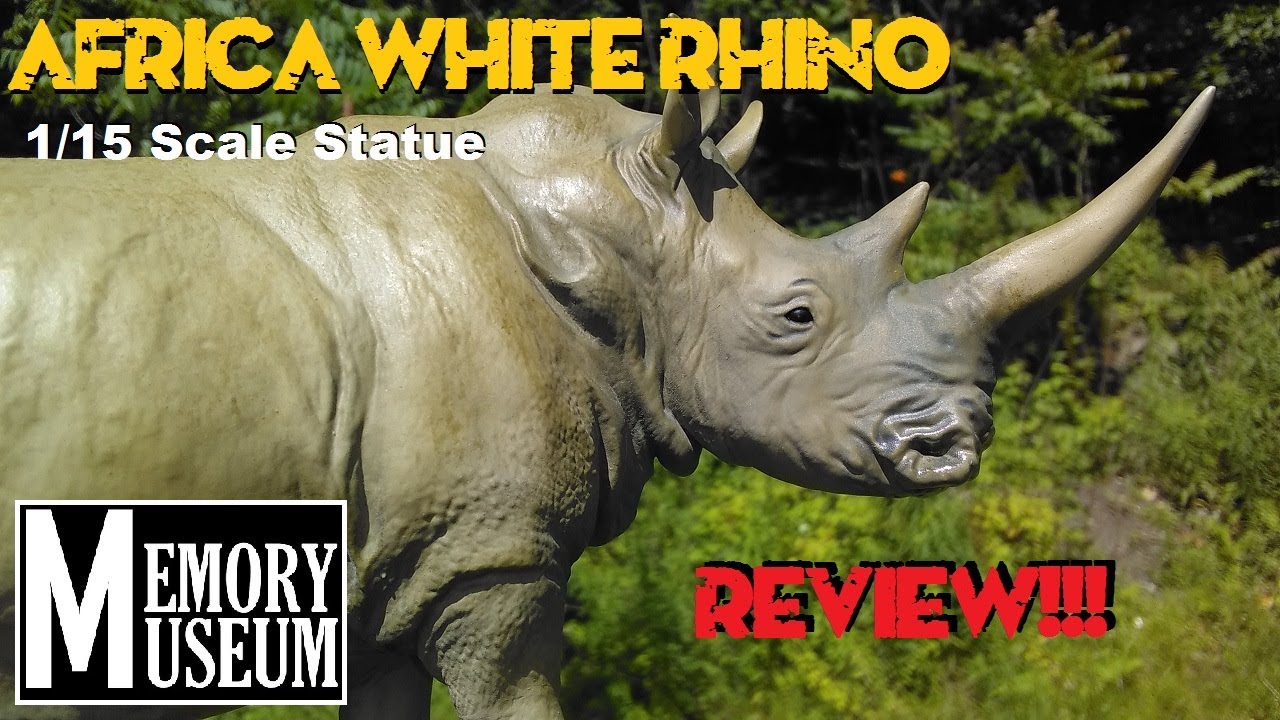 Memory Museum African White Rhino Statue Review!!! Initial Release! BEAUTIFUL!!!